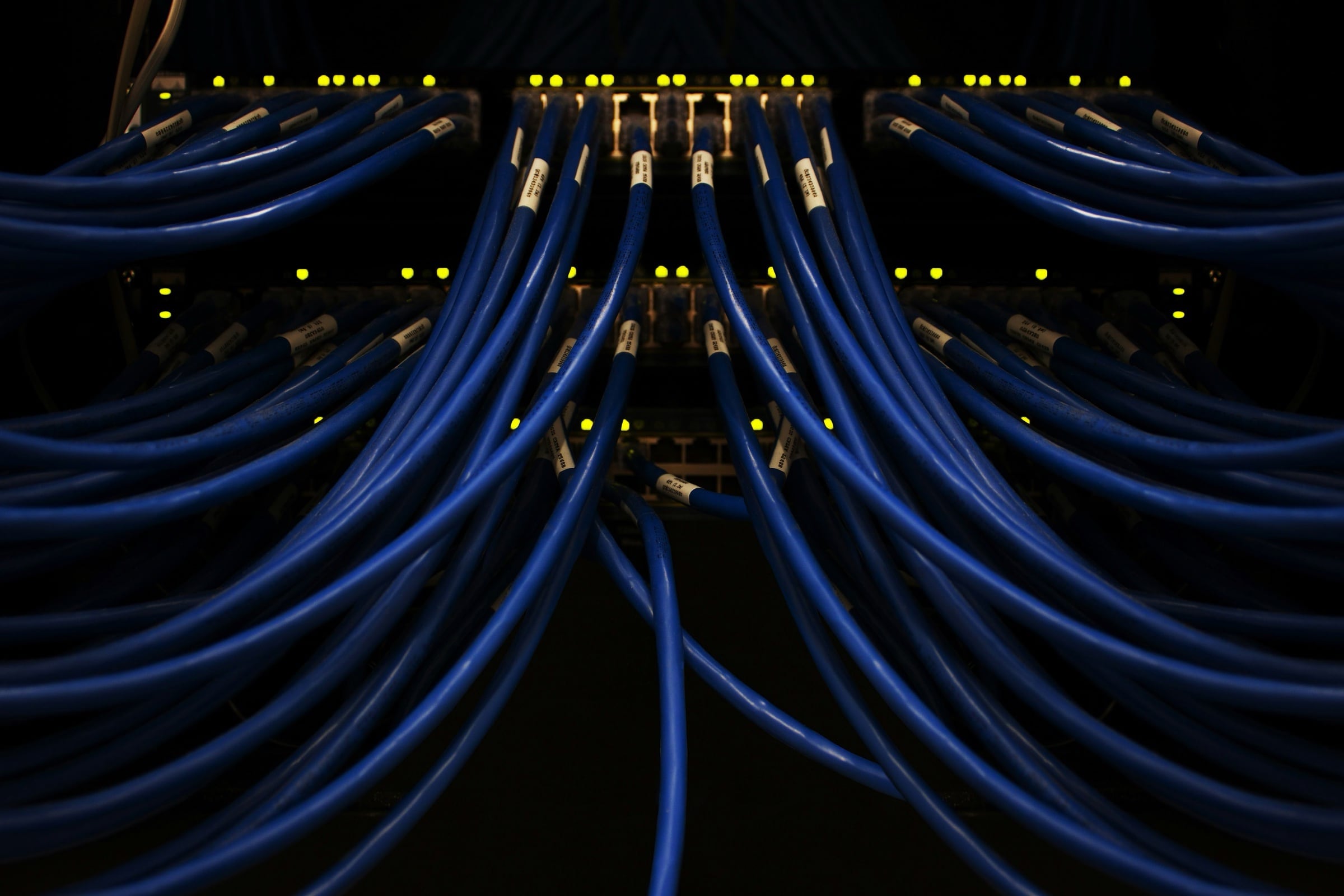 Ethernet cables connected to patch panels