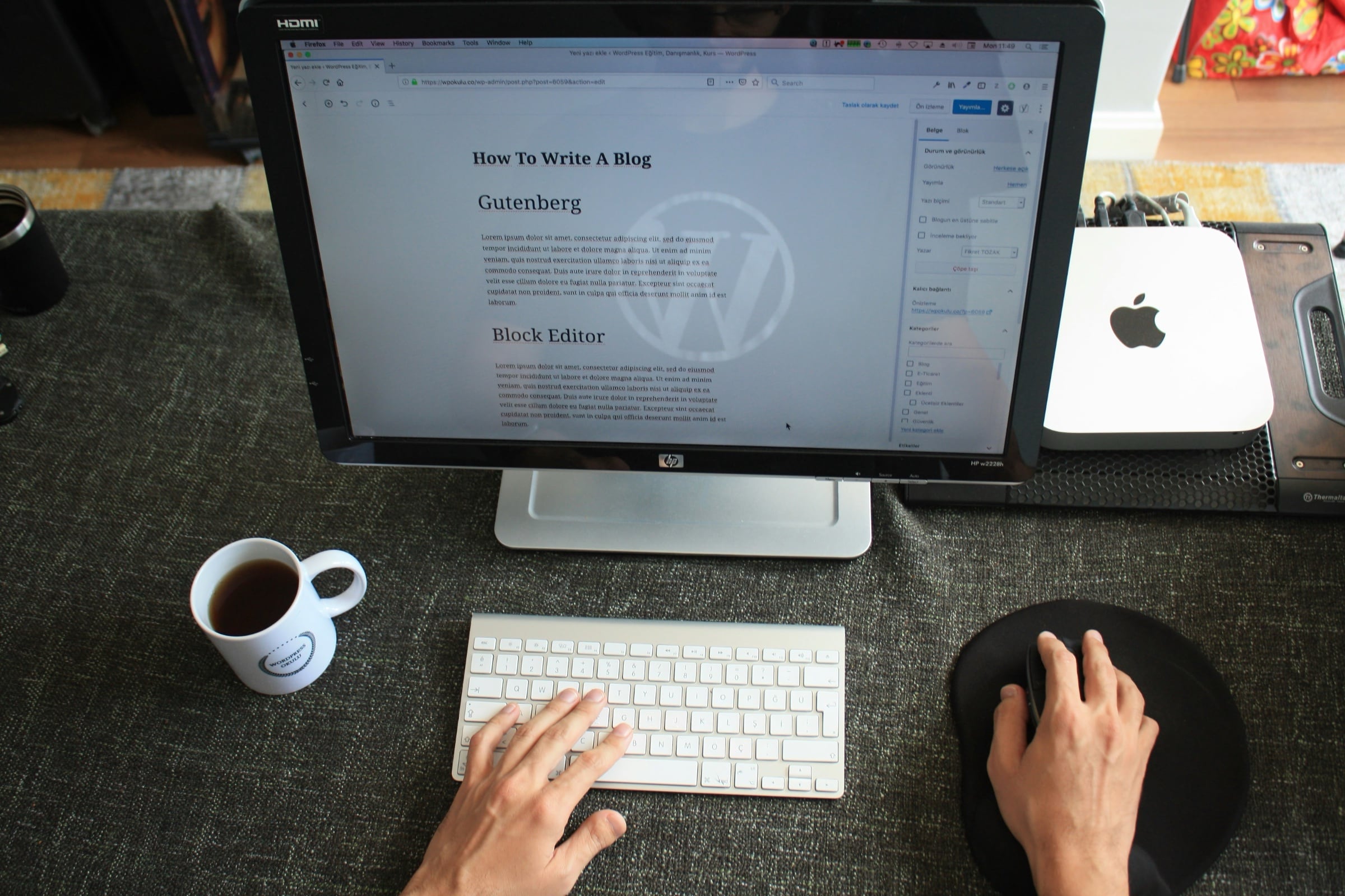Someone writing in the WordPress CMS